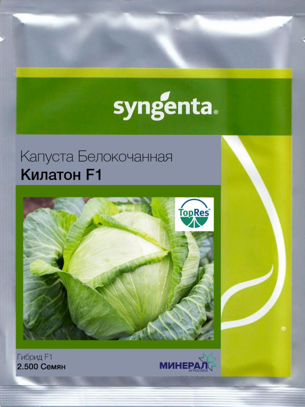 Капуста килатон описание сорта. Капуста б/к Килатон f1 Голландия. Капуста Килатон f1. Сорта капусты Килатон. Капуста белокоч. Килатон f1.